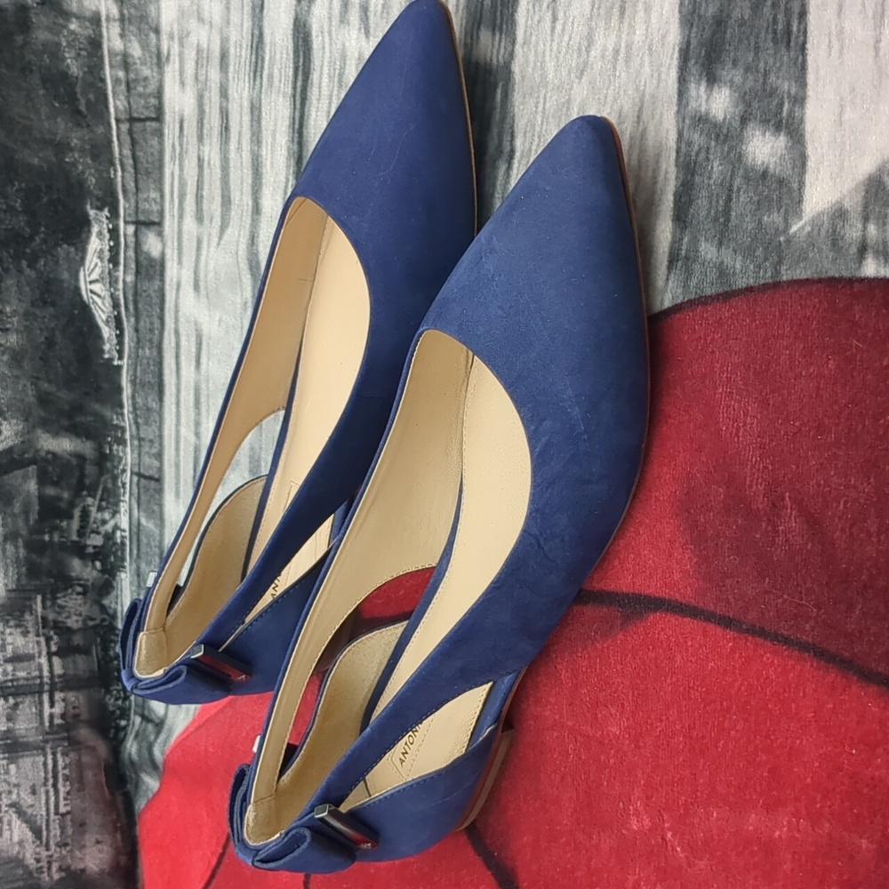 Antonio Melani Blue Suede Shoes